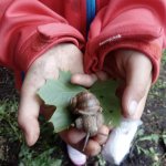 phoca_thumb_m_zajci a neci 4 Fotogalerie